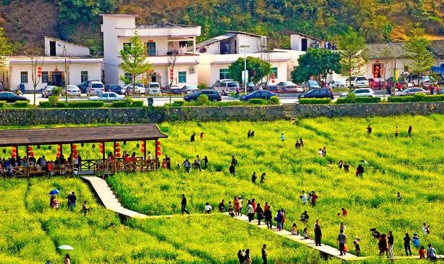 广州50个适合一日游的免费景点!附带交通指南