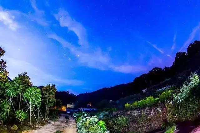 广州50个适合一日游的免费景点!附带交通指南