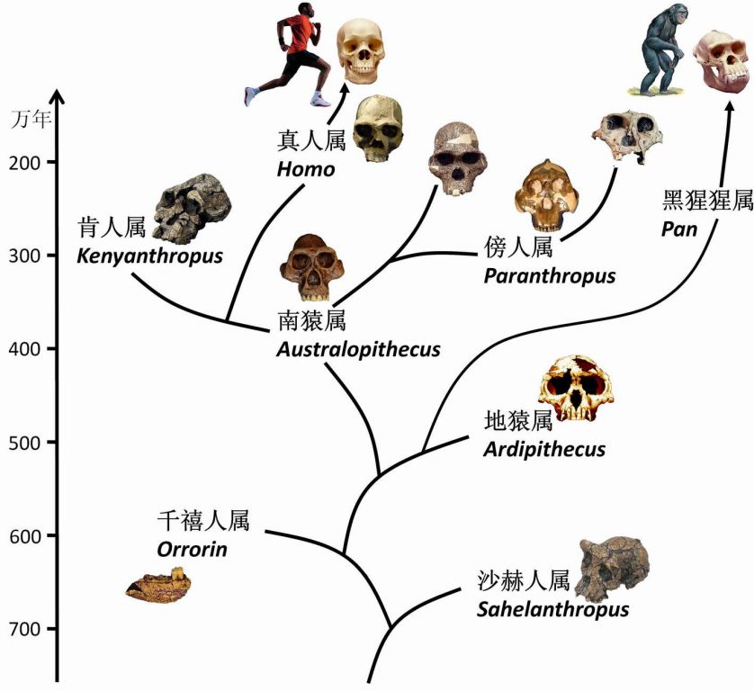 http://image.sciencenet.cn/album/201408/18/1057241zccaix74jxi6ca3.jpg