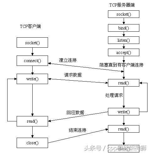 Socket必知必会